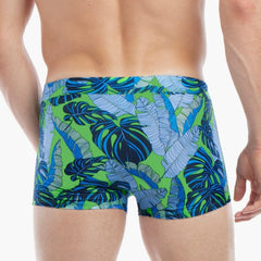 Cabo Swim Trunk: Beverly Hills Palms